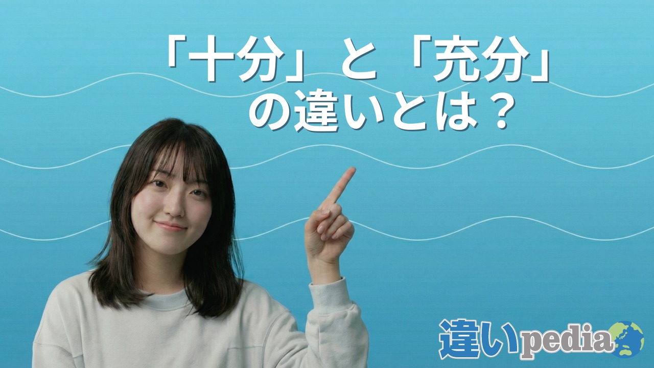 十分 と 充分 の 違い